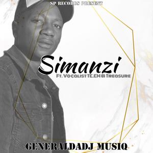 Simanzi (feat. Vocalist TE.EM & Treasure)
