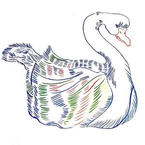 The Painted Goose