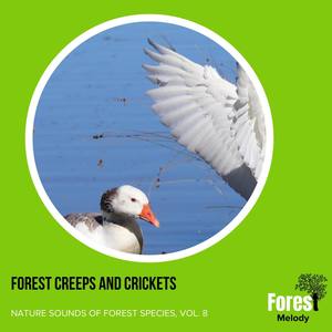 Condescending Toad Chorus