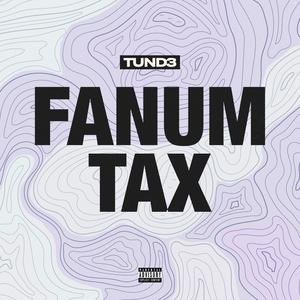 FANUM TAX (Explicit)