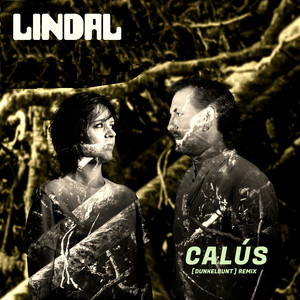 Calús (dunkelbunt remix)