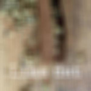 Like Dat (feat. M!X) (Explicit)