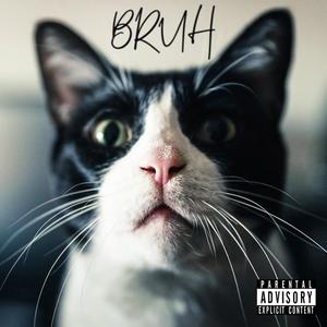 RAGNAROK (feat. Primal. & Handyscratch) (Explicit)