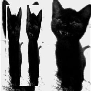 **** these *****es (matches freestyle) (feat. onlinewh0re) (reupload) (Explicit)