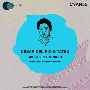 Ghosts in the Night (Zetbee Remix)