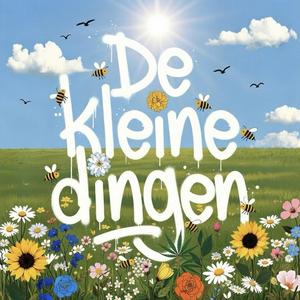 De kleine dingen (Explicit)