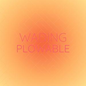 Wading Plowable