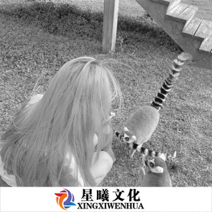 故事的最后总心酸 (DJ版)