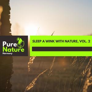 Sleep a Wink With Nature, Vol. 2