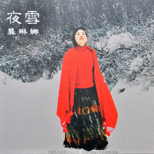 龚琳娜专辑《夜雪》封面图片