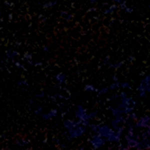 DOYOUHEARSOMETHING (feat. Grief) (Explicit)