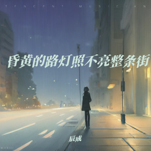 昏暗的路灯照不亮整条街 (升调版)