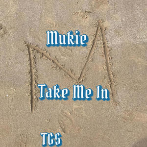 Take Me In (Explicit)