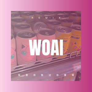 饿狼传说 (DJ版)