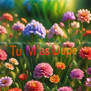 Tu M'as Dupe