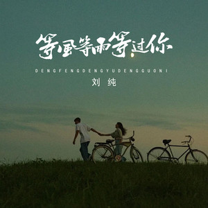 等风等雨等过你-刘纯