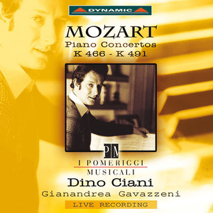 Piano Concerto No. 24 in C Minor, K. 491 - II. Larghetto