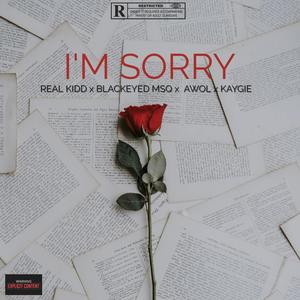 I'm Sorry (Explicit)