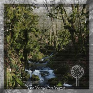 The Forgotten Forest