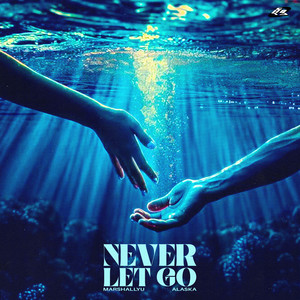 Never Let Go