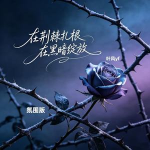 在荆棘扎根 在黑暗绽放 (氛围版)