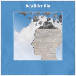 Bewilder Bin