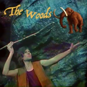 THE WOODS