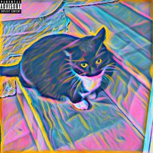 cattywampus (Explicit)