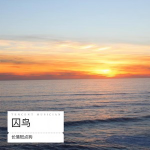 囚鸟 (是什么让你这样迷恋这样的放肆)