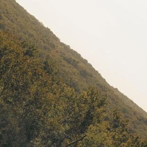 everything i own is very flammable so in the event of a house fire i'm screwed