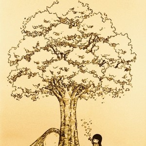 小枫