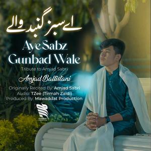 Aye Sabz Gumbad Wale (feat. Amjad Baltistani)