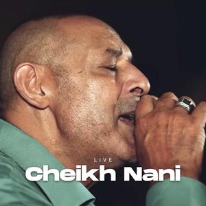 Manich Masoul 3la Hobbak (feat. Cheb Nani)