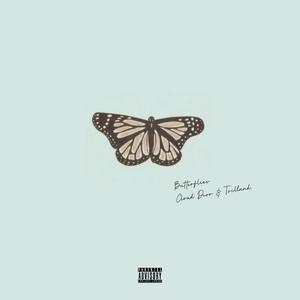 Butterflies (feat. Trilland) [Explicit]