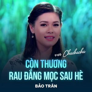 Còn Thương Rau Đắng Mọc Sau Hè (Chachacha)