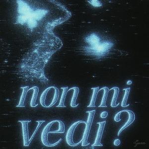 Non mi vedi? (Explicit)