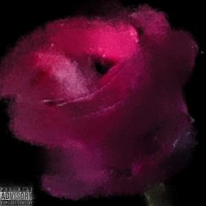 Love Rose (feat. Bbyoung) [Explicit]