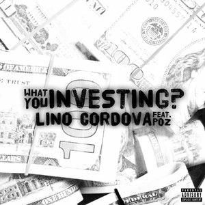 What You Investing (Explicit)