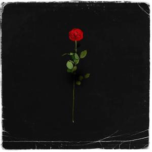 Drama (Explicit)