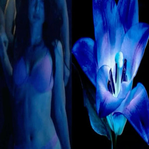 Te Tengo Unas Ganas (Explicit)