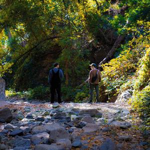 Down In Flames (Explicit)