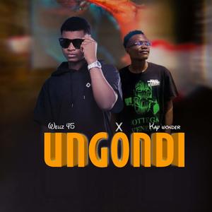 Ungondi (feat. Wellz45)