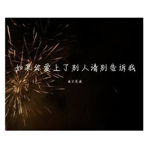 如果你爱上了别人请别告诉我 (DJ版)
