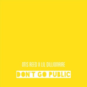 Don’t Go Public