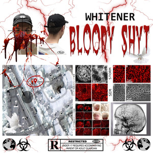 Bloody Shyt (Explicit)