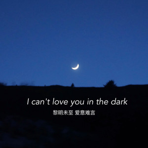 I can't love you in the dark (我无法在黑暗中爱你)