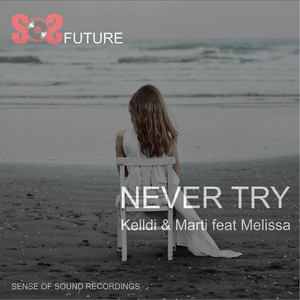 Never Try(feat. Melissa) (Original Mix)
