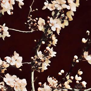 La Dame Derrière les Remparts (feat. VIXYM) (Instrumental)