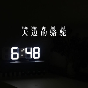 天边的骆驼 (Remix)