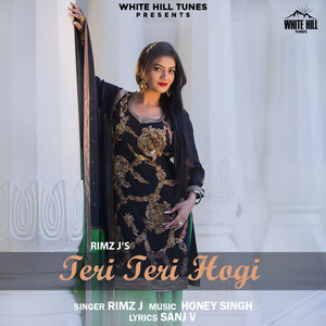 Teri Teri Hogi